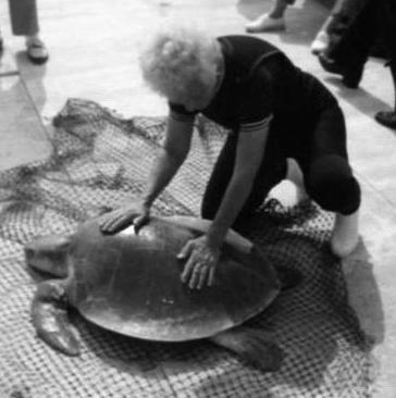 Ila Loetscher inspects a sea turtle
