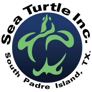 Sea Turtle Inc Logo