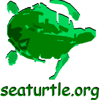 Sea Turtle Org Logo