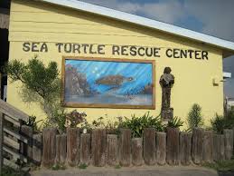 Sea Turtle Inc Facility in South Padre Island at 6617 Padre Blvd