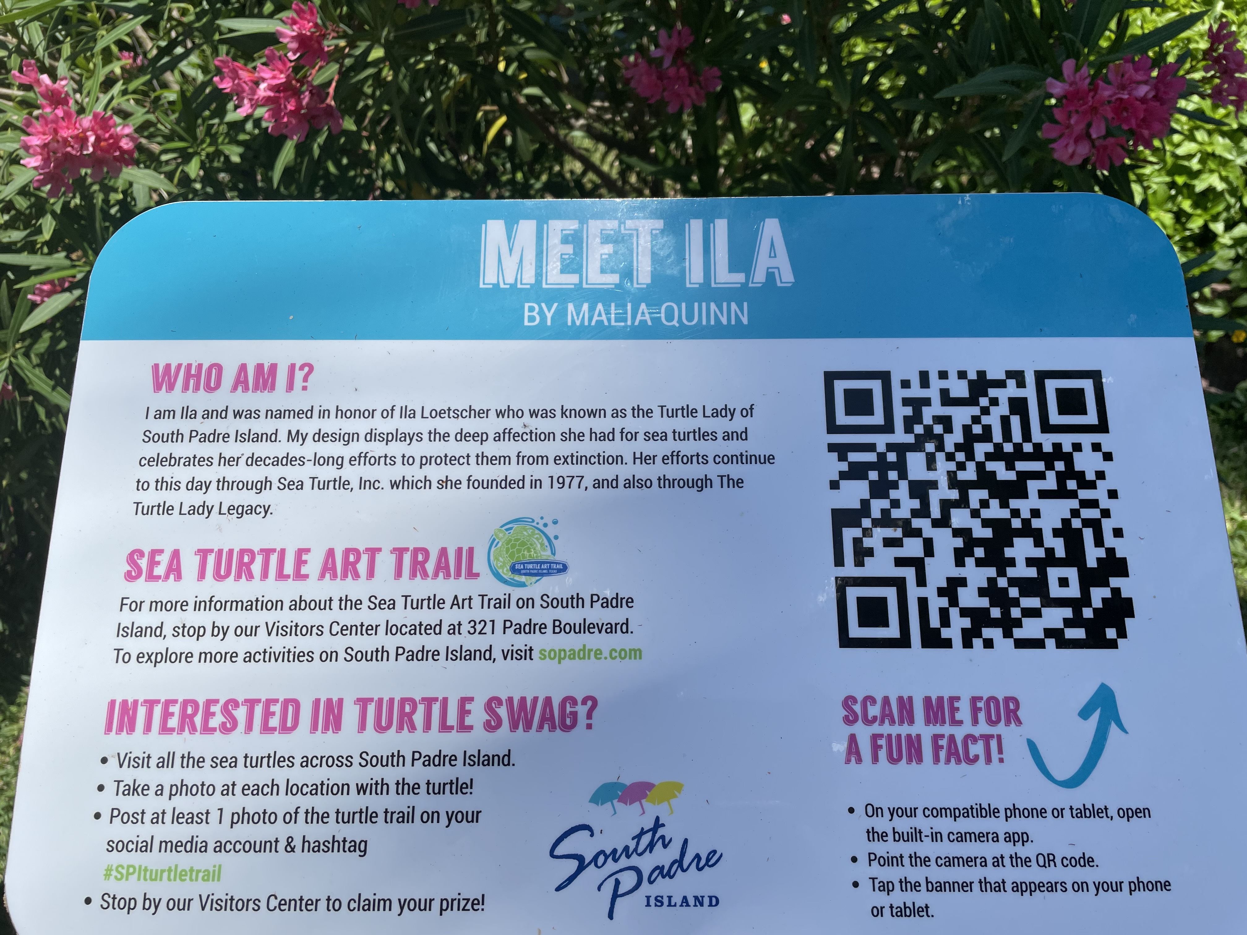 Sea Turtle Art Trail Sign for Ila Sea Turtle Sculpture