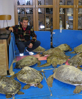 Mayor Pinkerton of South Padre Island inspects the condition of stranded sea turtles in January of 2007
