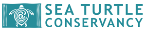 Sea Turtle Conservancy Logo